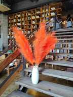 Premium Faux Orange Pampas Grass – 43.3" Tall Fluffy Decor, 8pcs 18-Branch One-Piece Stems No Assembly, Luxury Silk-Feel Feather Flowers for Boho Wedding Home Decor (Tangerine, 8 Stems / 110cm)