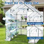 SUNGIFT Greenhouses for Outdoors, Upgraded PVC Cover Walk-in Greenhouse Kit 57x61x80 Inch, Zippered Windows Mesh Door, Plant Garden Hot House for Outside, Clear