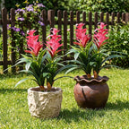 Ivydale Fake Flowers Plants for Outdoors, 2 Pcs 16.93" Bromeliad Artificial Flowers Uv Resistant Realistic Faux Flowers for Outdoor Planters Outside Porch Patio Yard Garden Indoor Decoration(Pink)