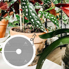 10 Pack Plant Pot Cover 1.8 Inch Plant Protectors from Animals Cuttable Round Pot Grid for Indoor Outdoor Plants