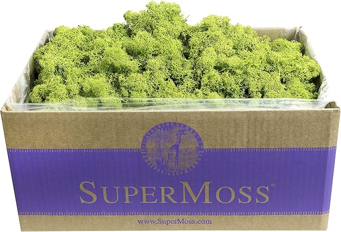 SuperMoss (21773) Reindeer Moss Preserved, Chartreuse, 3lbs