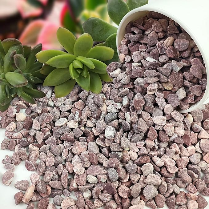 FANTIAN 5 lbs Succulent and Cactus Pebbles for Indoor Plants, 3/8 Inch Pea Gravel Decorative Red River Rocks for Plants, Vases, Terrarium, Aquarium, Potted Top Dressing and Outdoor Landscaping Stones