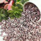 FANTIAN 10 lbs Pebbles for Plants, 3/8 Inch Pea Gravel Stones Decorative Red River Rocks for Succulent, Cactus, Landscaping, Vases, Terrarium, Aquarium, Potted Top Dressing and Outdoor Garden