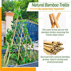 6ft Expandable Bamboo Teepee Trellis for Climbing Plants, Self-Standing Natural Bamboo Trellis for Plant Support, Folding Garden Trellis for Vines Flowers Vegetable Indoor Outdoor