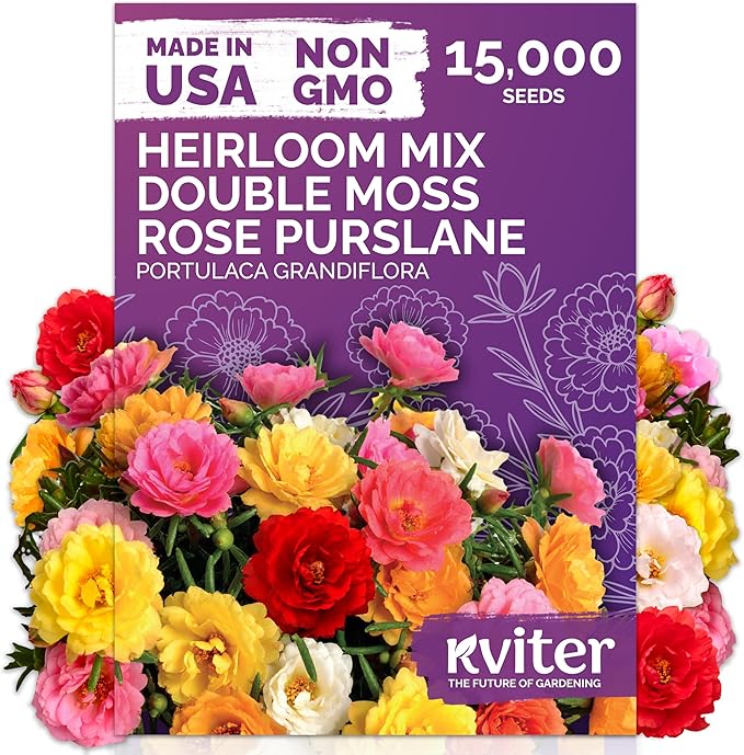 KVITER 15,000 Mix Moss Rose Seeds for Planting (Portulaca grandiflora) - Heirloom Flowering Ground Cover, Purslane Double Flower Portulaca Seed - Flower Seeds to Plant Outside, Beds, Baskets