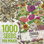 Seed Needs Zinnia Seeds 15+ Varieties Specialty Crazy Blend | 1,000+ Seeds Zinnia Elegans Open Pollinated | Includes California Giants, Candystripe & State Fair Species | Bulk