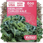 KVITER 600 Vates Blue Scotch Curly Kale Seeds (Brassica oleracea) – Curled Green Kale Seed Packets Heirloom Seed Outdoor & Indoor Home Garden – Cold Hardy Dwarf Vegetable Seeds for Planting