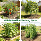 Cucumber Trellis for Raised Bed 64" L x 48" H, U-Shape Garden Trellis for Climbing Plants Outdoor, Metal Arch Trellis for Vegetables, Plant Support for Tomato Pea Zucchini Grape Flowers
