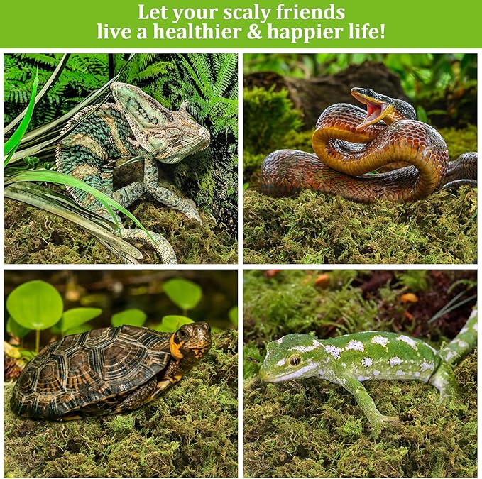 Legigo 3.5 OZ Sphagnum Moss for Reptile- 4 QT Natural Reptile Moss Terrarium Moss Substrate, Snake Tank Moss Peat Moss Reptile Bedding for Snake, Gecko, Ball Python, Frog and Orchids Plants