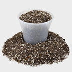 Premium African Violets and Gesneriad Premium Soil Mix by Gardenera - Horticultural Perlite (25%) + Vermiculite (25%) + Sphagnum Peat Moss (50%) - Made in USA - (4 Quart Bag)