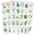 Sereniseed Certified Organic Herb Seeds (35-Pack) – Non GMO, Heirloom – Seed Starting Video – Basil, Cilantro, Oregano, Thyme, Parsley, Lavender, Chives, Sage, Dill Seeds for Indoor & Outdoor Planting