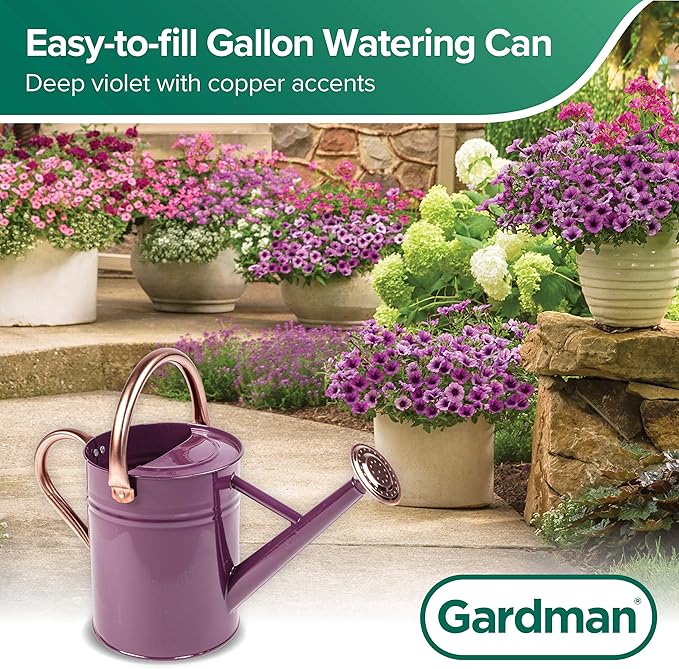 Gardman R34881 1 Gallon Watering Can, Deep Violet