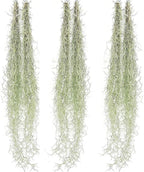 ragnaroc Tillandsia Usneoides ‘Thick-Colombian Spanish Moss’ - ragnaroc Indoor Tropical Plant 16” / 6 oz - Live Arrival Guaranteed - Live Air Plant & House Plants for Home Decor & Gift