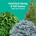 Miracle-Gro Tree and Shrub Plant Food Spikes - Deciduous, Flowering & Evergreen Tree Fertilizer Spikes, Hydrangeas, and Acid-Loving Plants, 12 Count, 3 lb.
