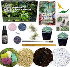 Cute Farms Terrarium Starter Kit | Moss, Vermiculite, Soil, Pebbles, Plant Food, & Finishing Tools (Large Kit + Live Plants + Crystals)