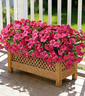 Artificial Flowers for Outdoors Decoration, 20 Bundles Fuchsia Faux Morning Glory with Eucalyptus Look Real UV Resistant Fake Plants Silk Flowers for Outside Yard Gardens Porch Patio Planter Home Urn