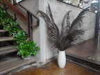 Dark Grey Pampas Grass Tall for Floor Vase Decor, Black Natural Pampas Grass, Large Dried Pompas Floral, Elegant Feather Flowers for Wedding Living Room Decorations(Natural Grey, 4pcs 43.3"(110cm))