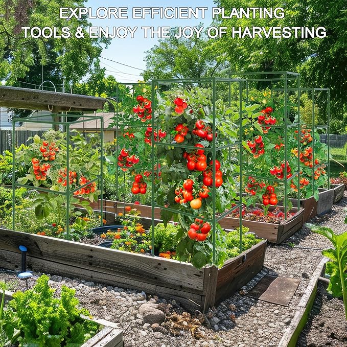 WLLEYAY 3 Pack Tomato Cages, Square Tomato Plant Stakes Support Cages Trellis, 50 * 17 * 17in Heavy Duty Steel Plant Tower Stakes Cucumber Trellis for Garden Climbing Vegetables Flowers Fruits, Bold