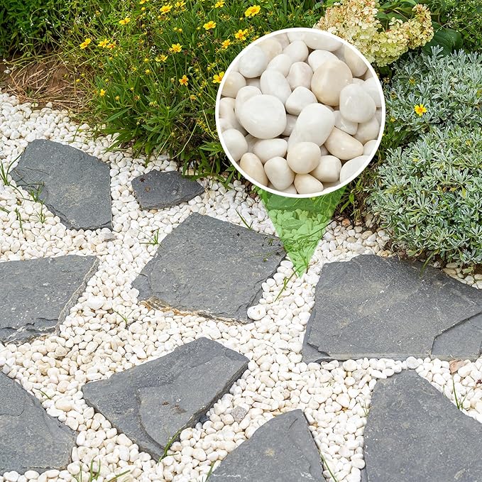 Mr. Fireglass 10lb White River Rocks, 3/8 inch Natural Decorative Polished Pebbles Aquarium Gravel Stones for Landscaping, Indoor Plants, Vase, Succulent, Fish Tank