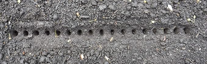 Seed-in Soil Digger and Soil Spacer for Planting Seeds
