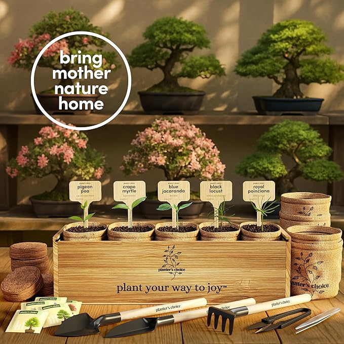 Planter's Choice Bonsai Tree Starter Kit - Unique Easter Gifts for Women, Men - Birthday Gifts for Adults - Indoor Live House Plants - DIY for Adults Craft Kits - Hobby Gift Gardening Lovers