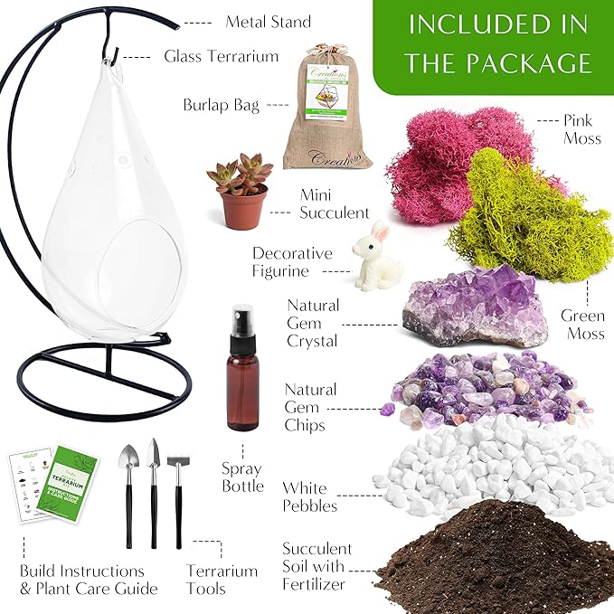Creations by Nathalie DIY 7" DIY Teardrop Terrarium Kit - Build Your Own Glass Terrarium for Adults & Teens with Moss, Crystals, Tools & Decor - Handcrafted in the USA (Live Plant Included)