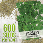 Seed Needs Italian Parsley & Chives Seeds for Planting Fresh Kitchen Herbs - Non-GMO Heirloom & Untreated Perennial Herb Seed to Plant a Culinary Garden Indoors or Outdoors (2 Pack Duo)