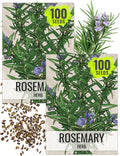 Seed Needs Rosemary Seeds for Planting - Non-GMO Heirloom & Untreated Perennial Herbs to Plant a Medicinal & Culinary Kitchen Garden Indoors or Outdoors (2 Packs)