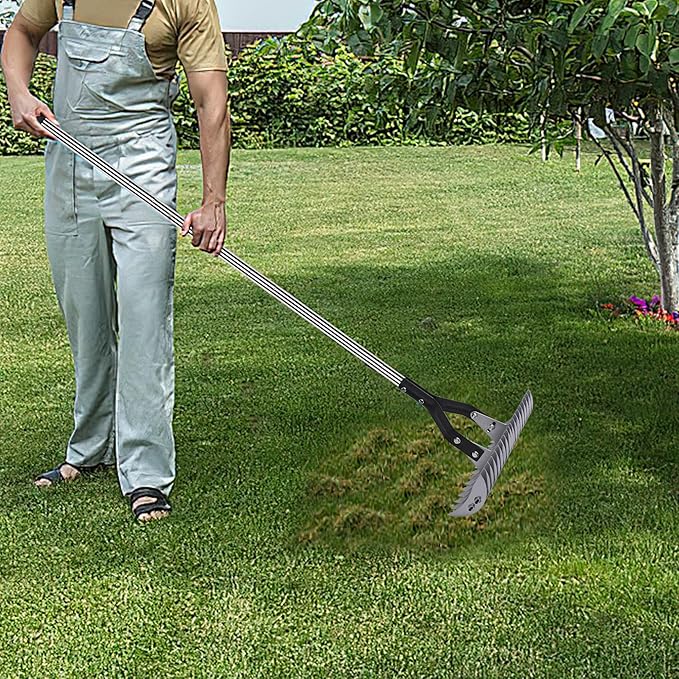 YEELOR Thatch Rake for Lawn, Easily Removes Dead Grass & Thatch, 58.5-Inch Long Handle for Less Bending, Heavy Duty Steel for Yard & Garden
