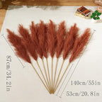 Premium Faux Burnt Orange Pampas Grass – 55" 8pcs Tall Ultra-Fluffy 24-Branch One-Piece Stems No Assembly, Luxury Silk-Feel Feather Flowers for Fall Autumn Boho Home Decor (Terracotta, 8 Stems)