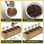 Planter's Choice Bonsai Tree Starter Kit - Unique Easter Gifts for Women, Men - Birthday Gifts for Adults - Indoor Live House Plants - DIY for Adults Craft Kits - Hobby Gift Gardening Lovers