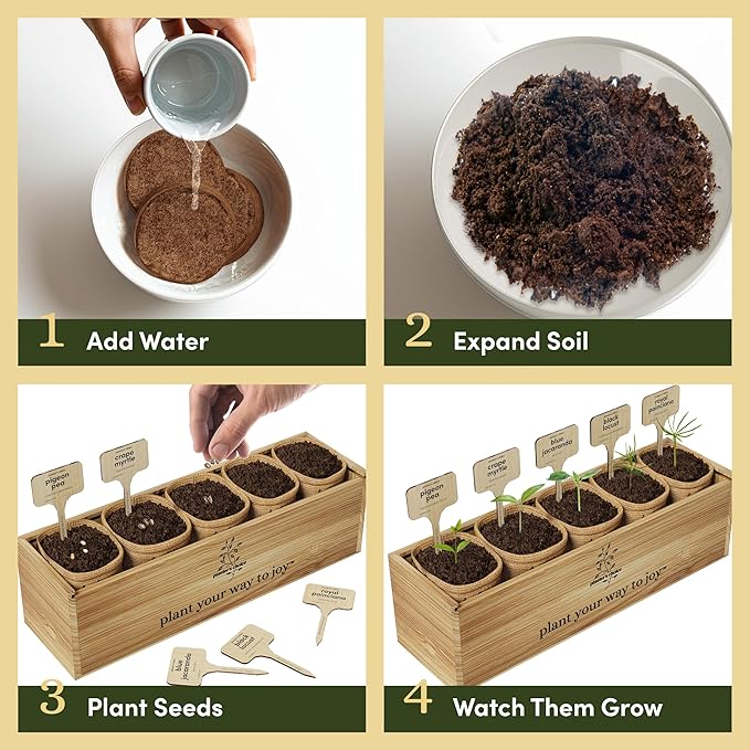 Planter's Choice Bonsai Tree Starter Kit - Unique Easter Gifts for Women, Men - Birthday Gifts for Adults - Indoor Live House Plants - DIY for Adults Craft Kits - Hobby Gift Gardening Lovers