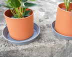 LWALRS Plant Saucer 14 Inch 2 Pack 6 8 10 12 14 16 18 20 25, Plastic Plant Trays for Pots，Extra-Deep Plant Water Dray Tray, Bird Bath Bowl, Heavy Flower Plant Saucers Indoors and Outdoor No Holes