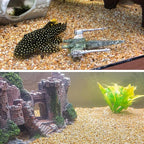 45lb Cactus Pea Gravel Rocks,1/5 Inch Pebbles for Indoor Plants, Natural Succulent Rock and River Rocks Decorative for Aquariums, Vases, Terrarium, Outdoor Gardening, Top Dressing for Potted Plants