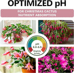 Premium Christmas Cactus Soil – Organic, Nutrient-Rich, Optimal-Draining Potting Mix for Schlumbergera – Promotes Healthy Roots, Balanced Moisture & Vibrant Blooms – Ready to Use (1 QT)