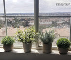 4 Pack Small Fake Plants in White Pulp Pot for Home Decor, Artificial Plants Indoor, Small Faux Plants Indoor for Bathroom Bedroom Kitchen Office Farmhouse Room Shelf Decor