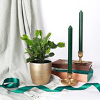 Thorsen's Greenhouse Holiday Cactus, Christmas Cactus, Live Indoor Plant, Pet Safe, 4" Diameter Pot, Classic Pot Cover (Gold)