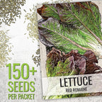 Seed Needs Lettuce Seeds Variety Pack for Planting a Collection of 14 Individual Varieties - Packets Includes Romaine, Iceberg, Oakleaf, Lollo Rosso and More