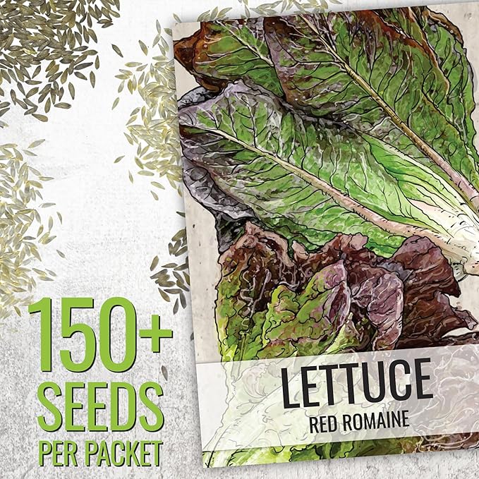 Seed Needs Lettuce Seeds Variety Pack for Planting a Collection of 14 Individual Varieties - Packets Includes Romaine, Iceberg, Oakleaf, Lollo Rosso and More