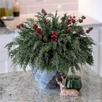 Faux Cedar Stems Artificial Norfolk Pine Branches for Christmas Decorations, 17 PCS Faux Pine Stems with Pinecones Red Berries Branches Realistic Faux Greenery for Vases DIY Garland Xmas Table Indoor