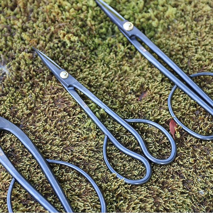 KAKURI Satsuki Bonsai Scissors Made in Japan 7", Japanese Carbon Steel Blade, Precision Bonsai Shears for Fine Pruning and Trimming