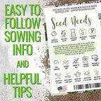 Seed Needs Sweet Marjoram & Thyme Seeds for Planting Fresh Kitchen Herbs - Non-GMO Heirloom & Untreated Perennial Herb Seed to Plant a Culinary Garden Indoors or Outdoors (2 Pack Duo)