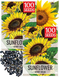 Seed Needs Henry Wilde Sunflower Seeds for Planting - Heirloom & Open Pollinated Cut Flowers - Annual Wildflowers to Grow a Butterfly Garden (2 Packs)