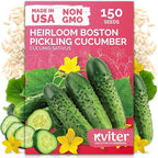 KVITER 150 Boston Pickling Cucumber Seeds (Cucumis sativus) - Boston Pickler Cucumber Organic, Perfect Cucumbers for Pickling and Slicing - Vegetable Seeds for Planting in Home Garden & Containers