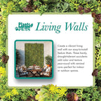 10 in. x 20 in. Sedum Groundcover Mat, Non-toxic Hardy Stonecrop for Landscaping, Live Succulents, Pet Friendly Plants for Cats & Dogs, Drought Resilient, Easy Care