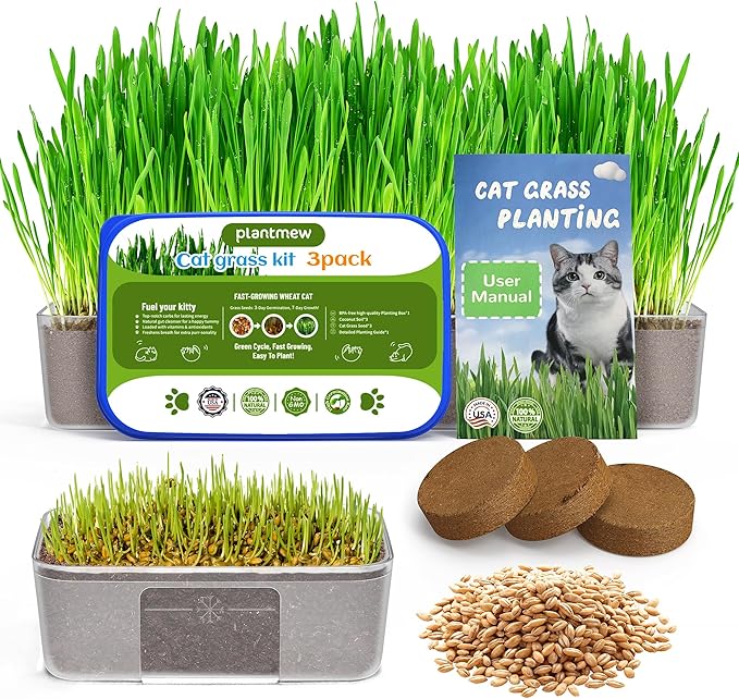 Cat Grass for Indoor Cats – 3 Pack Cat Grass Seeds, Non-GMO, High Germination | Grows in 3-7 Days, USA Harvested | Cat Grass Growing Kit for Hairball Care – Wheat Grass for Healthy Cats