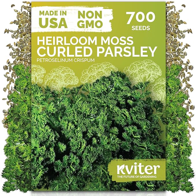 KVITER 700 Moss Curled Parsley Seeds (Petroselinum Crispum) - Curly Parsley, Rich Flavor, Cold Tolerant, Heirloom Seed Packets - Ideal Herb Seeds for Home Garden, Containers, Indoor Herb Growing