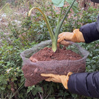 Foyego 4Pcs 15 Gallon Root Guard Baskets for Plants, Underground Stainless Steel Wire Mesh Cages Gopher and Vole Wire Basket Protect the Roots of Large Plants