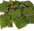 Assorted Artificial Moss Bark, Decorative Mossy Tree Bark for DIY Crafts, Fairy Gardens, Terrariums, Floral Arrangements (Realistic Green - 100gr)