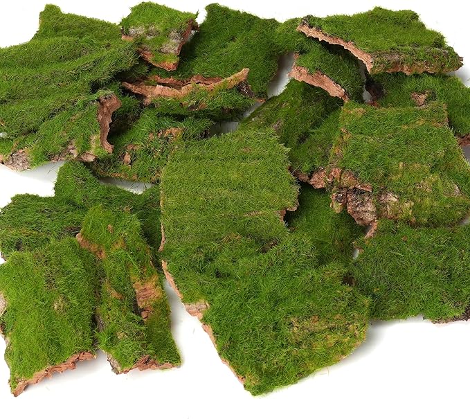 Assorted Artificial Moss Bark, Decorative Mossy Tree Bark for DIY Crafts, Fairy Gardens, Terrariums, Floral Arrangements (Realistic Green - 100gr)